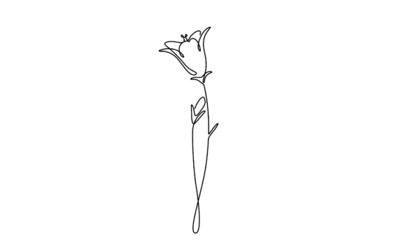 Animated Bellflower Line Art: Digital Elegance in Motion