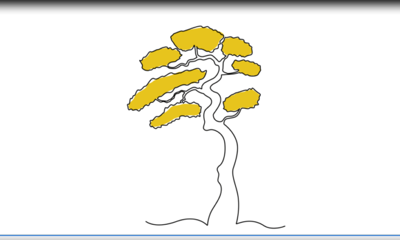 Animated Bonsai Spring Tree: Continuous Line Art Motion