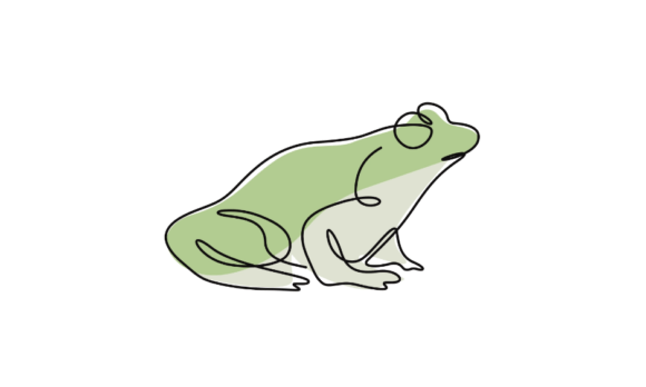 Animated Green Frog Line Art: A Whimsical Motion Graphic