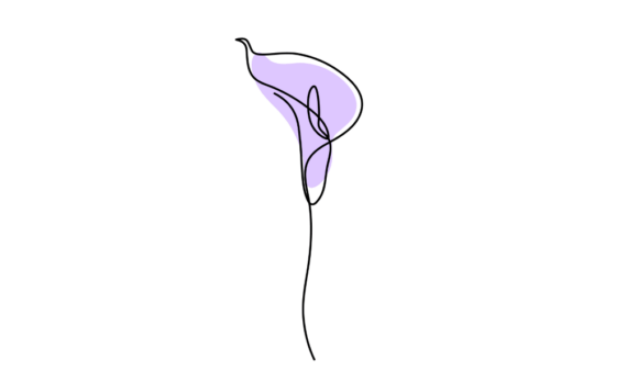 Animated Line Drawing Anthurium Flowers: A Visual Journey