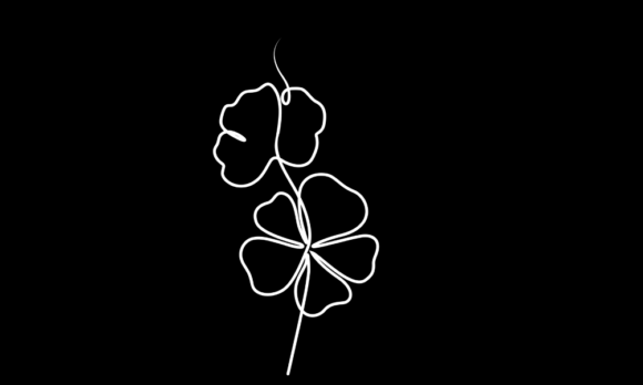 Animated Line Drawing of Flowers: A Seamless Digital Art Form