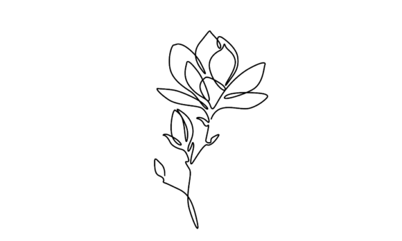 Animated Magnolia Flowers: Continuous Line Motion Art