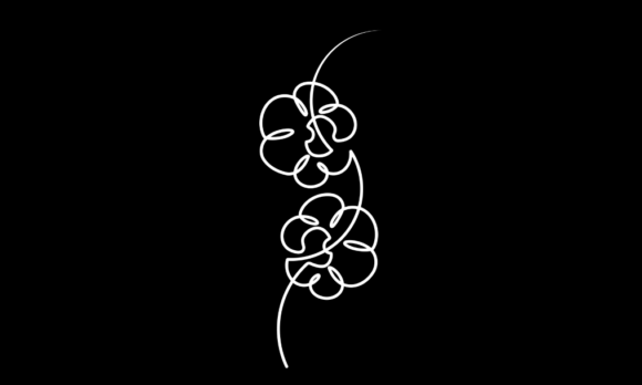 Animated One Line Art of Orchid Flowers: A Minimalist Marvel