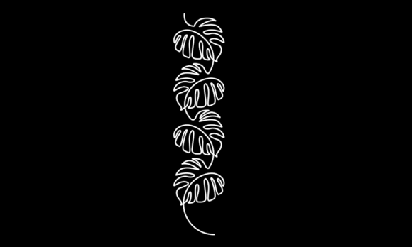 Elegant Motion: The Animated One Line Drawing of Monstera