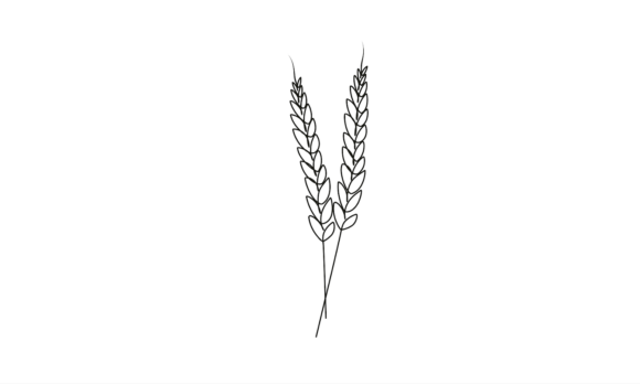 Grain of Wheat Line Animation: A Dynamic Design Asset