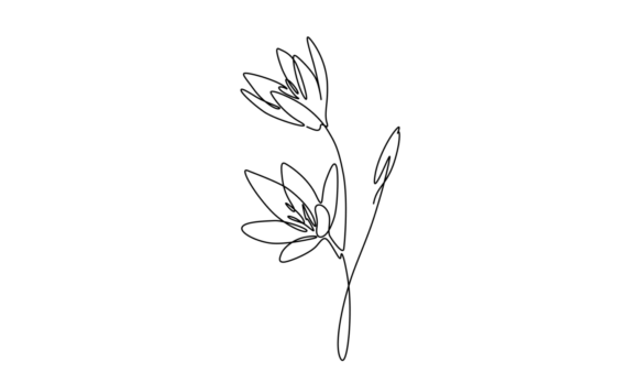 The Allure of Animated Kaffir or River Lily Animation