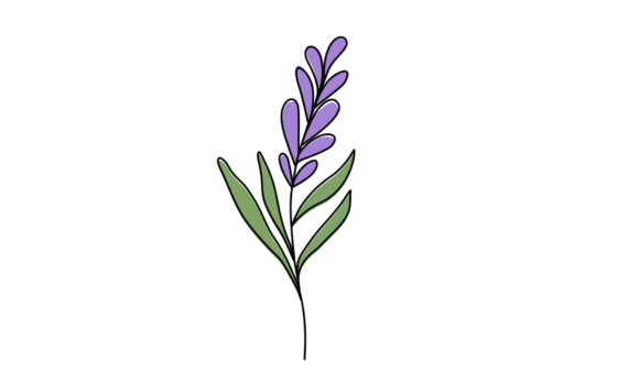 The Allure of Animated One Line Drawing of Lavender