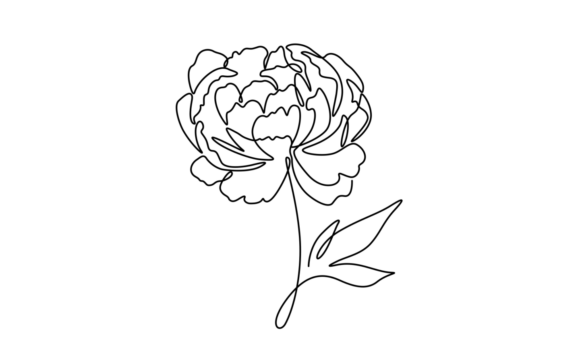 The Allure of Animated Peony Flowers Animation