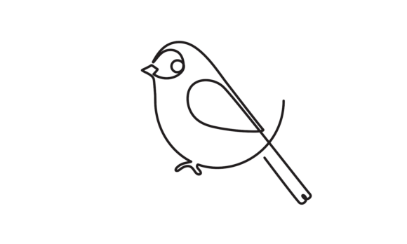 The Bird Continuous Line Art Animation: A Modern Motion Asset