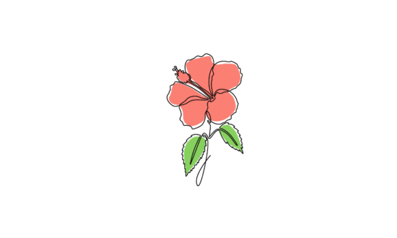 The Elegance of Animated Hibiscus Flowers