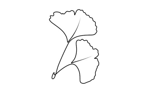 The Elegant Motion of Ginko Leaf Animation