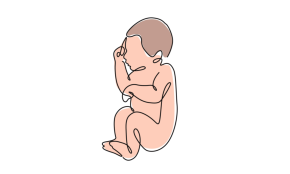 The Silent Elegance of a Sleeping Newborn Animation