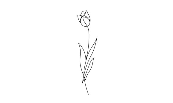 Tulip Flowers Line Animation: The Continuous Draw Motion